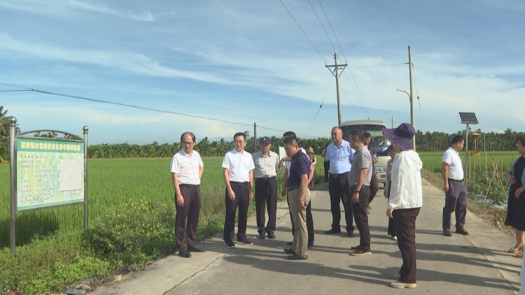 市人大常委会开展《海南经济特区禁止一次性不可降解塑料制品规定》贯彻实施情况执法检查